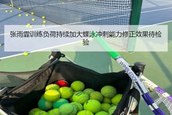 张雨霏训练负荷持续加大蝶泳冲刺能力修正效果待检验
